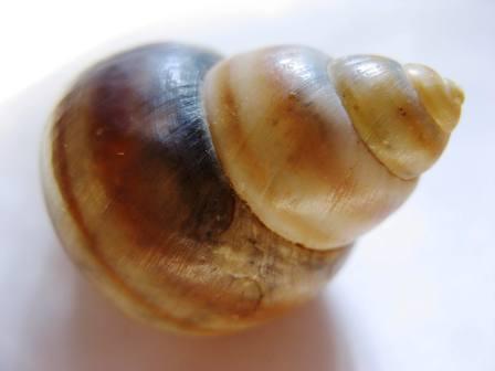 Ancora una e basta cos''�?